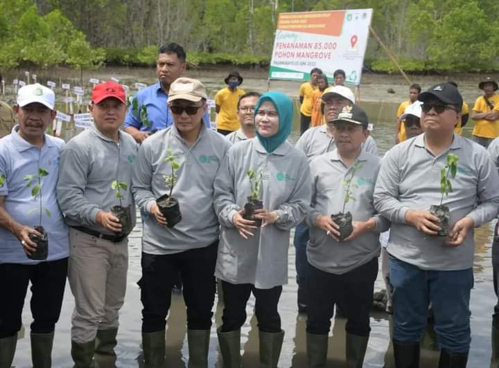 Hari Lingkungan Hidup Sedunia, Zudan Ajak Bergerak Bersama Atasi Polusi Plastik di Sulbar